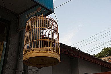 《失落之魂》发布最新中文配音预告 5月30日发售